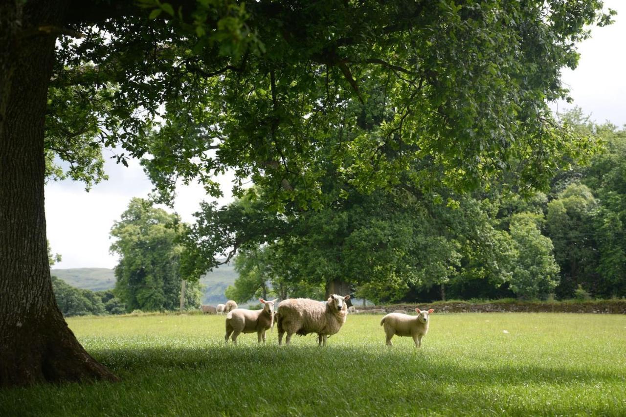 Old Leckie Farmstay Stirling Eksteriør bilde